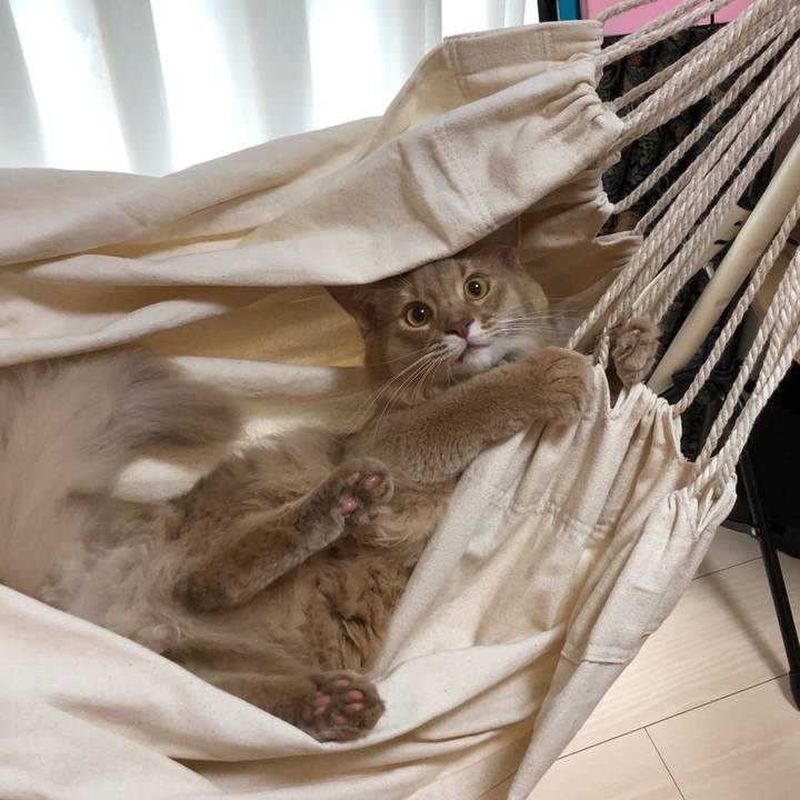 26881ed4 84f2 49ea 99b2 7e774fdbcf62 1564412420017