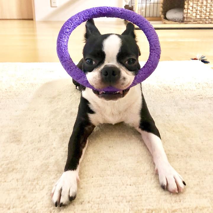 268822bf b087 4f52 9f26 d468483ffd07 1530667823368