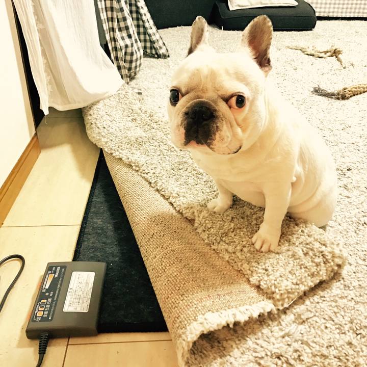 26883afd c96f 4bff 9ceb aa661ef597bb 1508753186348