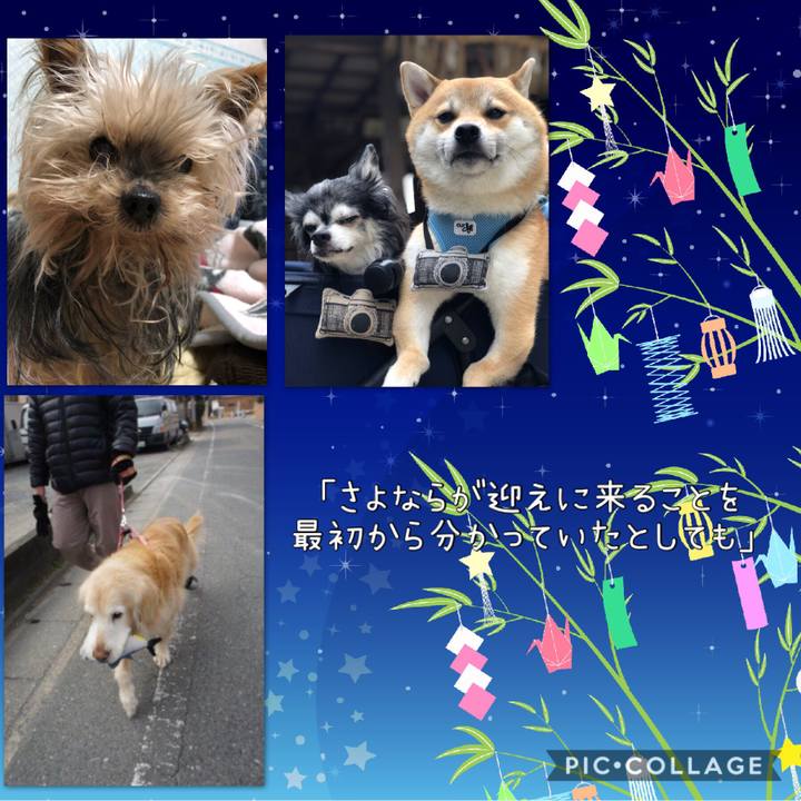 268857a1 364a 44dd 8c93 5bee1ad6b0d6 1562455735607