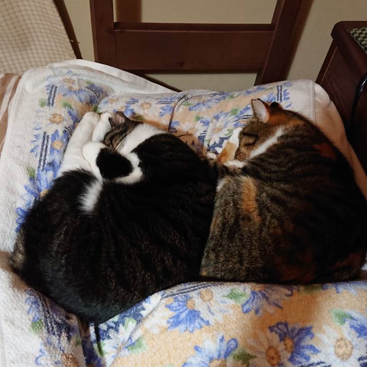 26885afa a591 4b31 8c41 2b55b45bf590 1671142029063