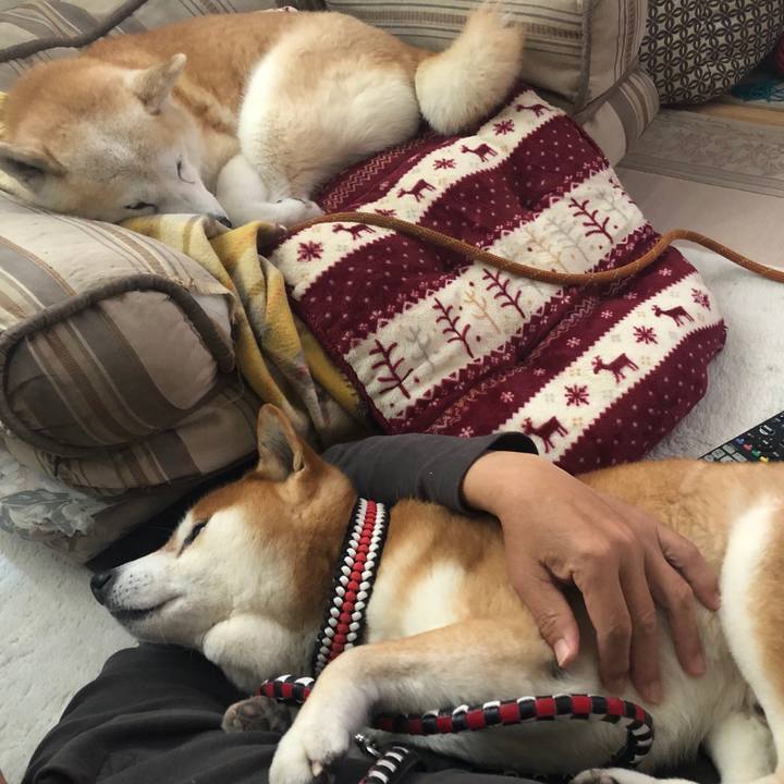 268866ac 99fc 4b18 9cd6 21e85a6c162f 1554689717088