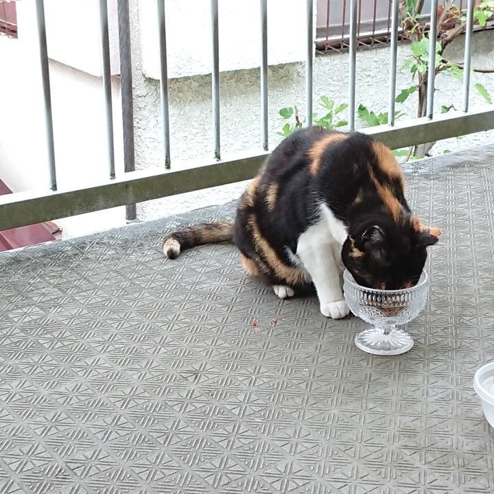 2688cefb 4af3 4741 ab67 df5d4f05805f 1622073440577