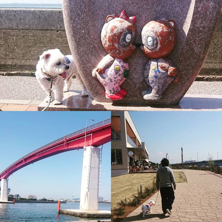 2688e2ba 3a95 4223 9903 00c6455aeab3 1649576163139