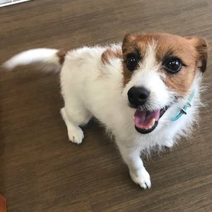 2688e34b 82b0 448c 9cfc c2c12c41a3bb 1520266215672