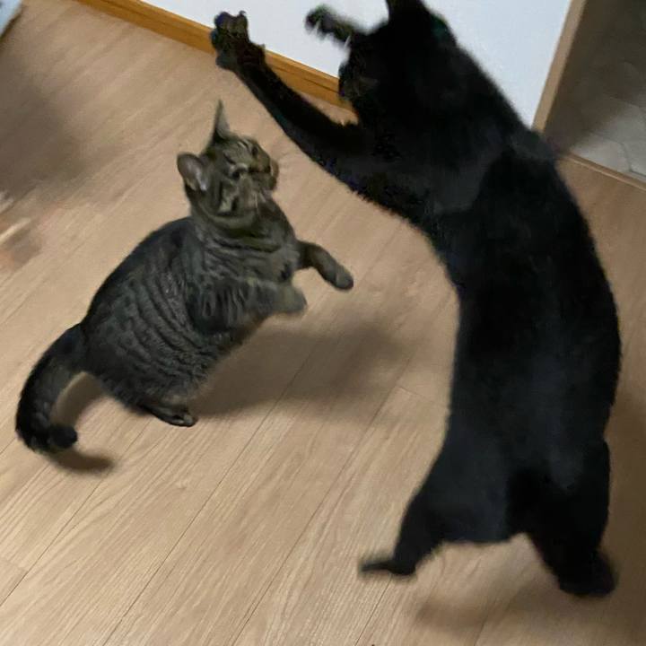 2688fd91 6fcd 4fb8 89d8 f15b005652ce 1633951075870