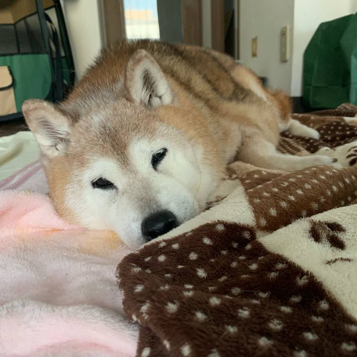 2688feff 88ba 4866 b83f 375879bc9aaa 1690239171418