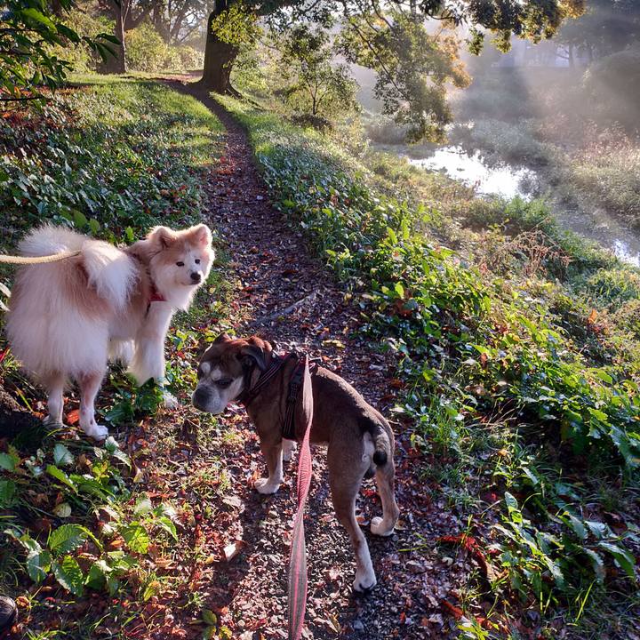 26891b86 35db 4ccf 97d5 da10d4465778 1636548334446