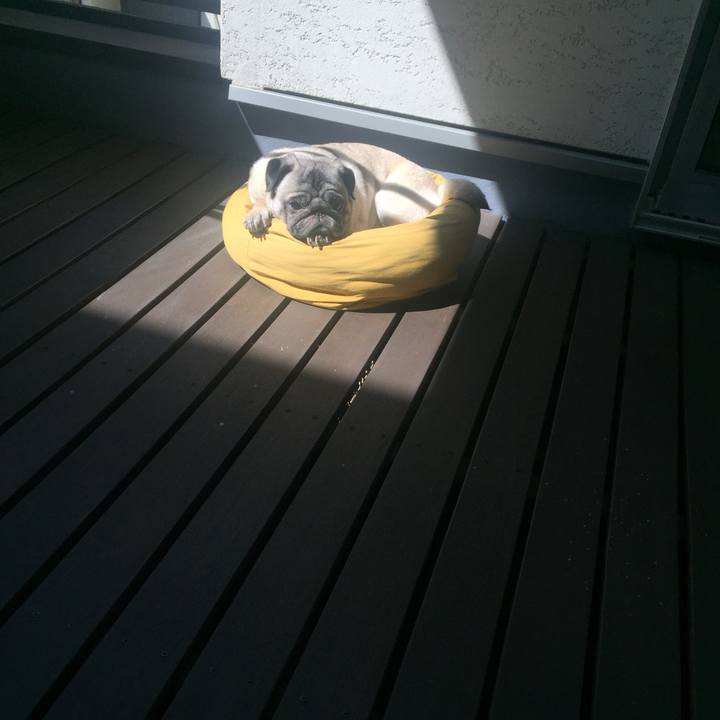 26894be2 fc04 4623 9f16 8595b215f3bf 1556579775242