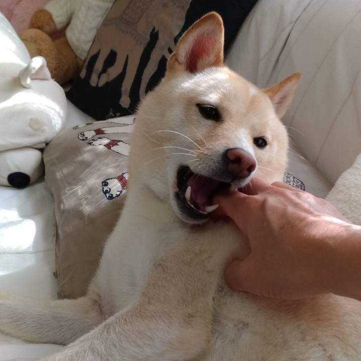 268951d8 f8a8 4ec5 be98 223f1a5716a2 1569457689725