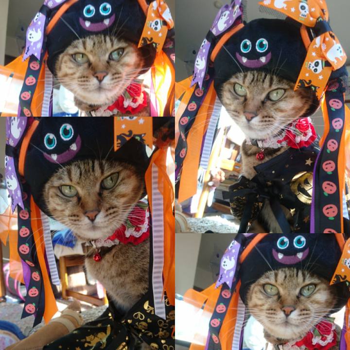 268960cd 5ce2 4d75 ad01 c1e9dba56e0a 1761695968630