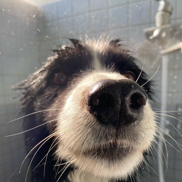 2689a13f f83e 47a0 913c 6f023b2cf74b 1641273234052