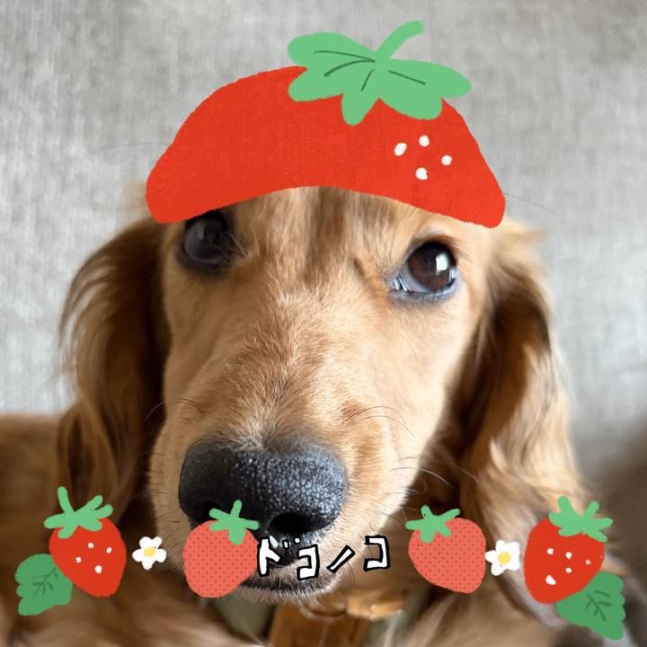 2689bd63 232e 4c58 bb21 85ca6218f822 1775221580224