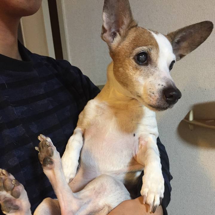 2689d22e 05bf 411e 97d5 80a8f9d71bb9 1515027969539