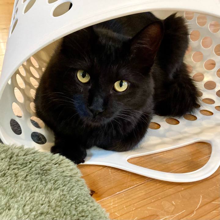 2689d7cf 6f68 4f5a 834a bd8cdfa436d5 1716100381869