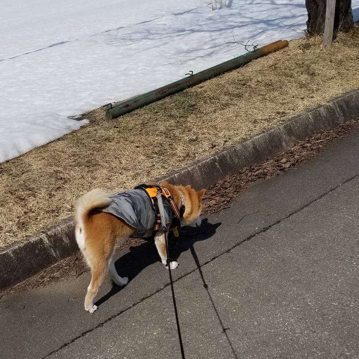 2689dd48 f713 4758 bb96 dcb2922286f0 1615257721615