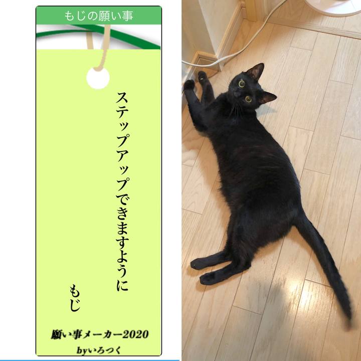 268a2e20 b68f 4370 b92d 8c2eca4202e7 1594128132102