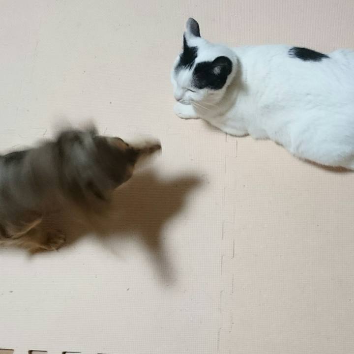 268a3d1a ac06 46cb 9e6a fdc55b367b15 1517229838158