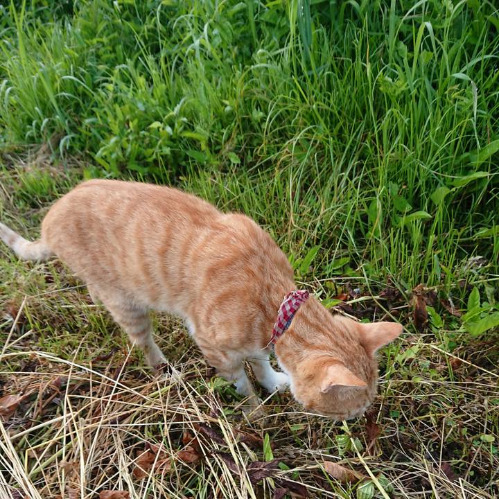 268a49b9 06fc 4ef6 bf95 3715e10678c7 1562273869671