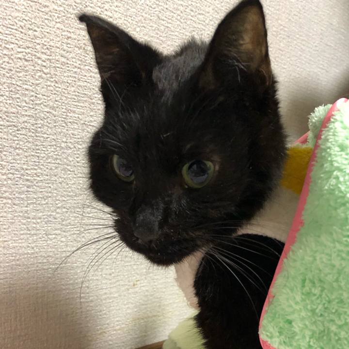 268a5061 81cf 4473 ab98 6fdfeb3012f7 1558134086337