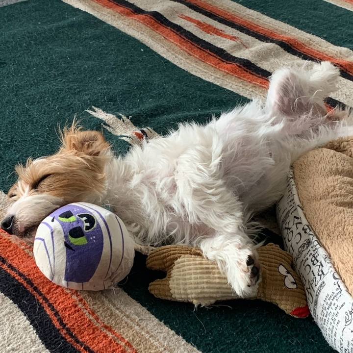 268a821d ddd3 46a4 851e 863be894cd2e 1776922893312