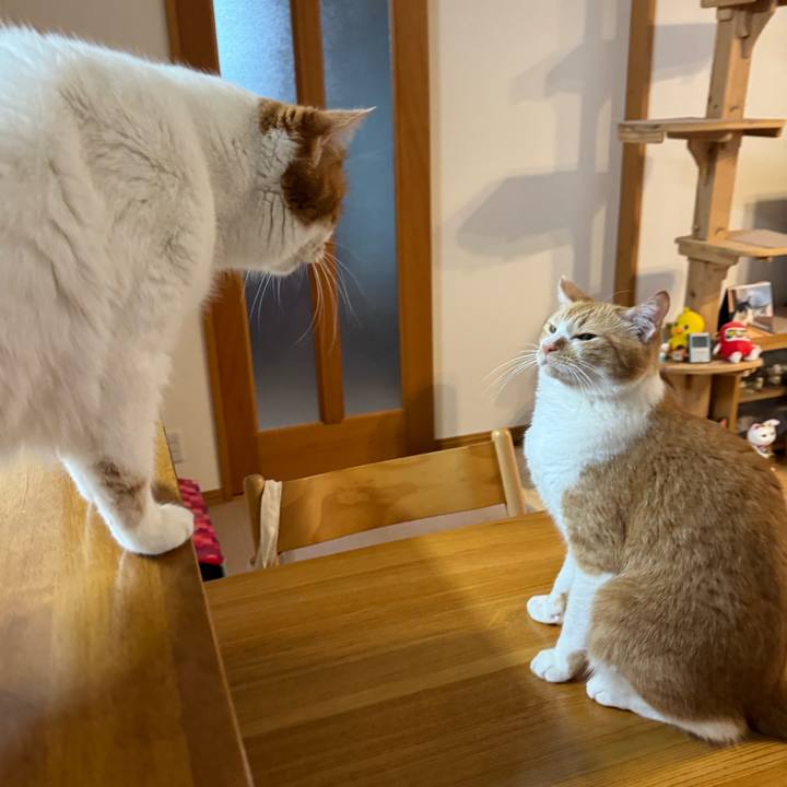 268a85c1 c07d 473e 8e38 8ff995ab910f 1771382254677