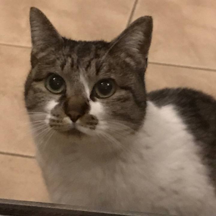 268aa492 6ed6 4082 8873 910ecf5b25c7 1553429527786