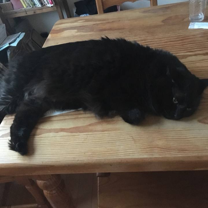 268abfb0 e928 4871 b0f6 bcbba51e2907 1563070927278