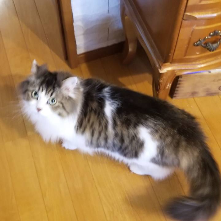 268ac6a5 67a8 4cca a722 a48d17d5c342 1551656634202