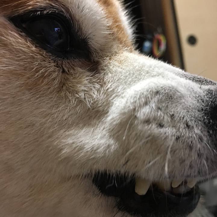 268ace8b 4f93 4bb7 8120 fd4e6b7378cd 1526210457901