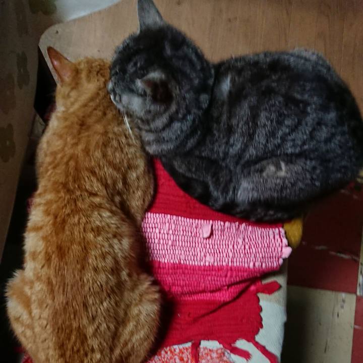 268af0e4 f385 42fd b454 9938a880d625 1554888562235