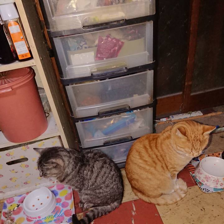 268b0179 a585 443c 962c 2efebda5bcd6 1574887069697