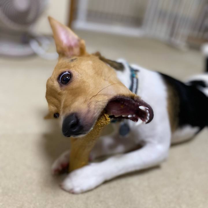 268b2924 9cac 4c39 82c8 d368593fb455 1759236117411