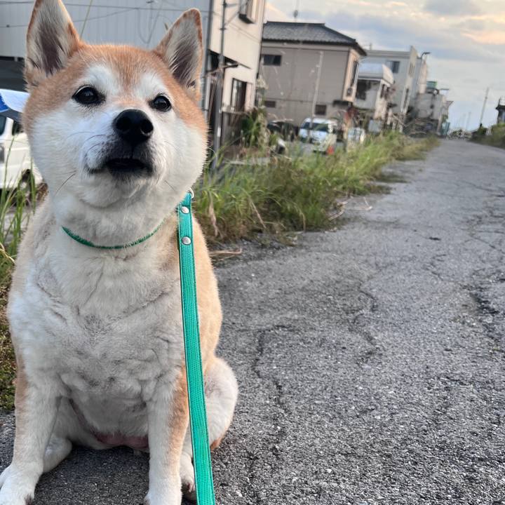 268b2dc9 41a6 48c5 a52a b7b6697ef1ec 1717237321313