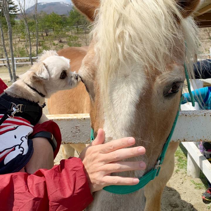 268b34cc 9005 4a26 a62f 39294cdfee75 1556546188837