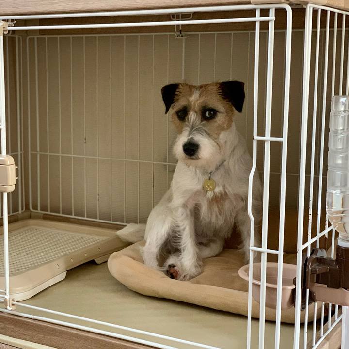 268b3bb5 7b86 4f91 b64e 4ff1c1353c42 1620982199133