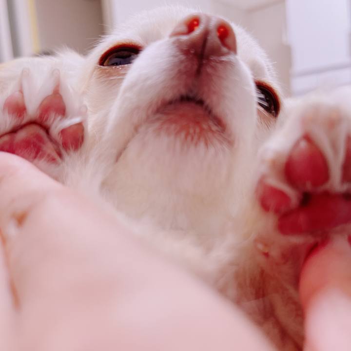 268b846b 26bd 4113 b824 a091883a8844 1682942104270