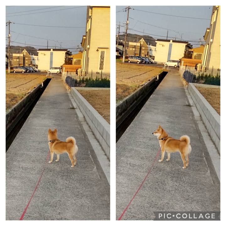 268be7a2 61d5 462b a311 81163747aedb 1680390218239