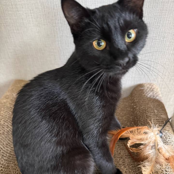 268c12b7 da03 41f5 a1b4 36e97d38d1bf 1732665802737