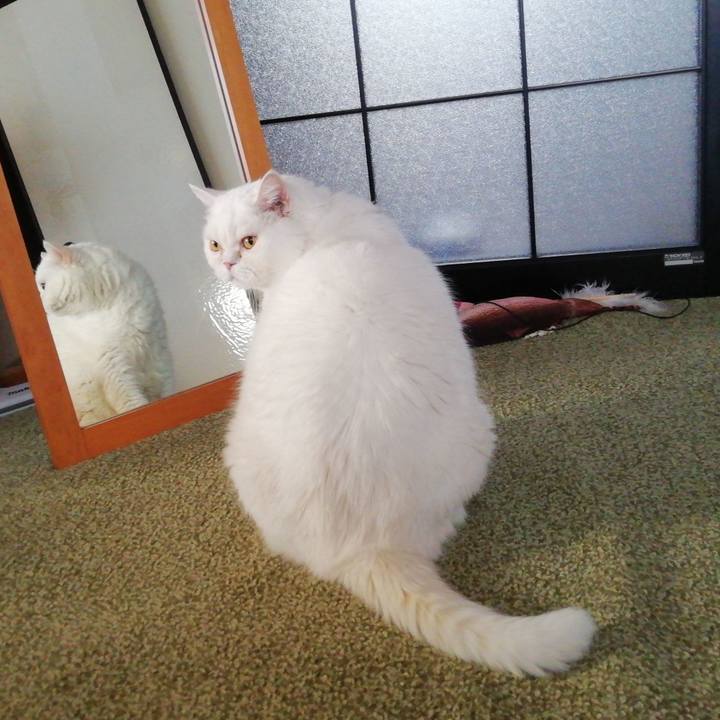 268c69b4 cc7f 4848 8dd7 2d432706bc08 1759045494645