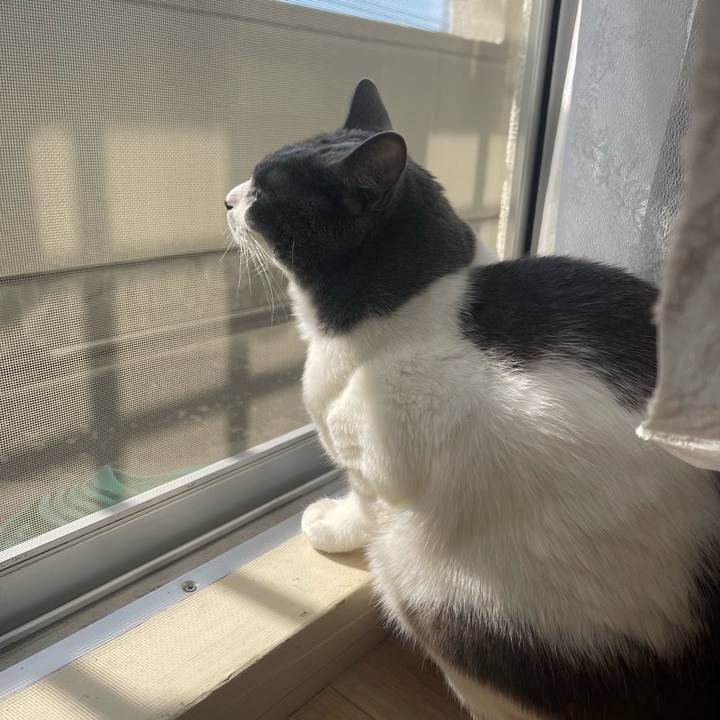 268c8a9b c111 4006 b3b7 092dae5c6195 1667093914003