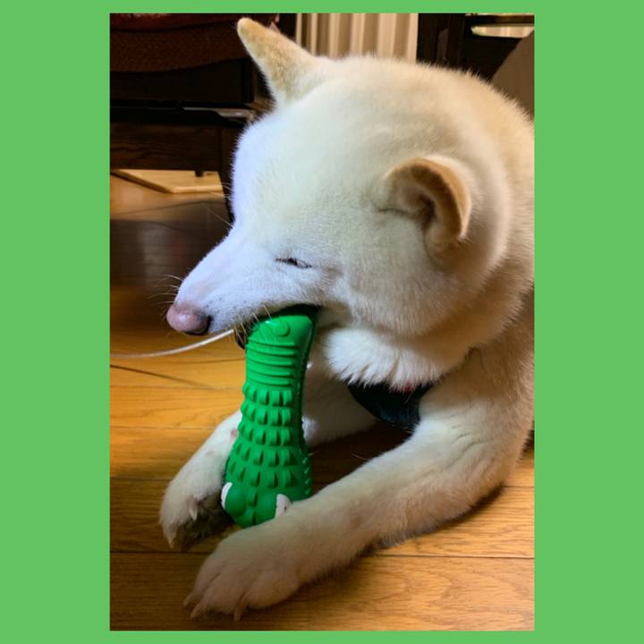 268c9986 6608 4d3d 9340 c3bf8b5d92e9 1610017098876