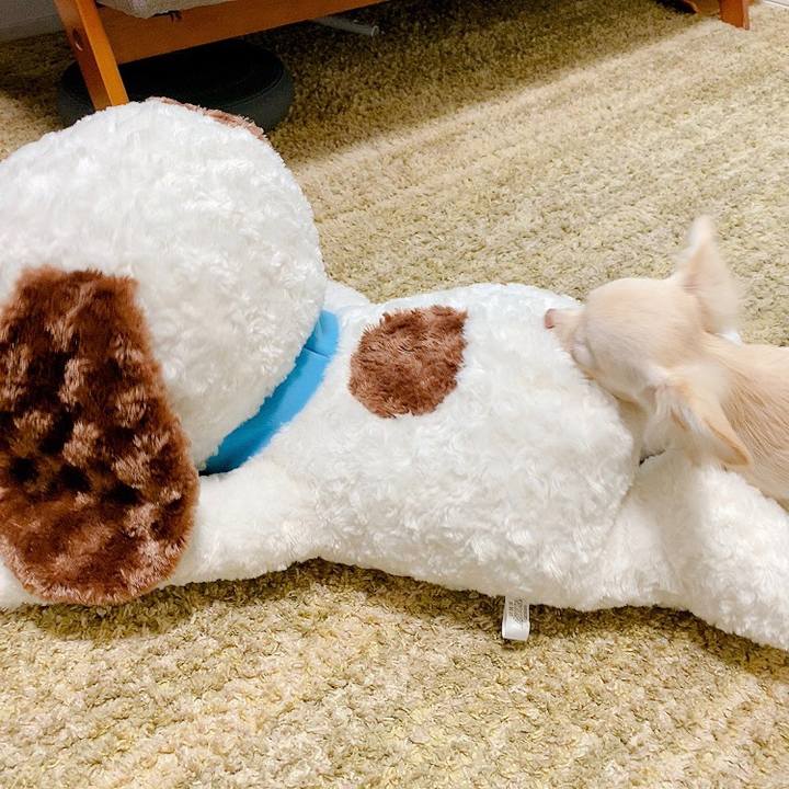 268cdc99 a8c0 4c19 b13e 1dae25f9eb77 1595476746893