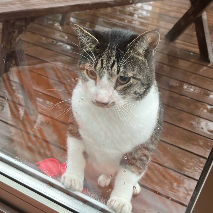 268cf8b3 89da 4c6e a5ec 2e30c882a314 1663969826399