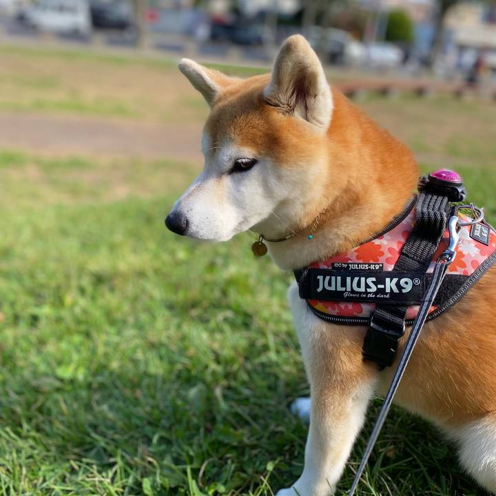 268cf8f8 dc79 4f96 8786 1d0c8d564483 1629161400583