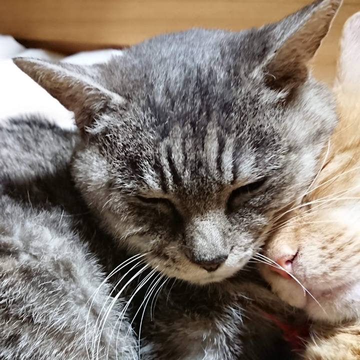 268d3a5a af80 4362 b2a6 88c5401c571f 1605612162224