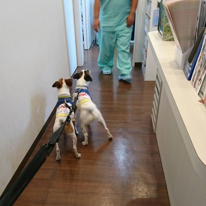 268d3ea0 d689 4b29 bf8c ec844f058aa3 1562987320074