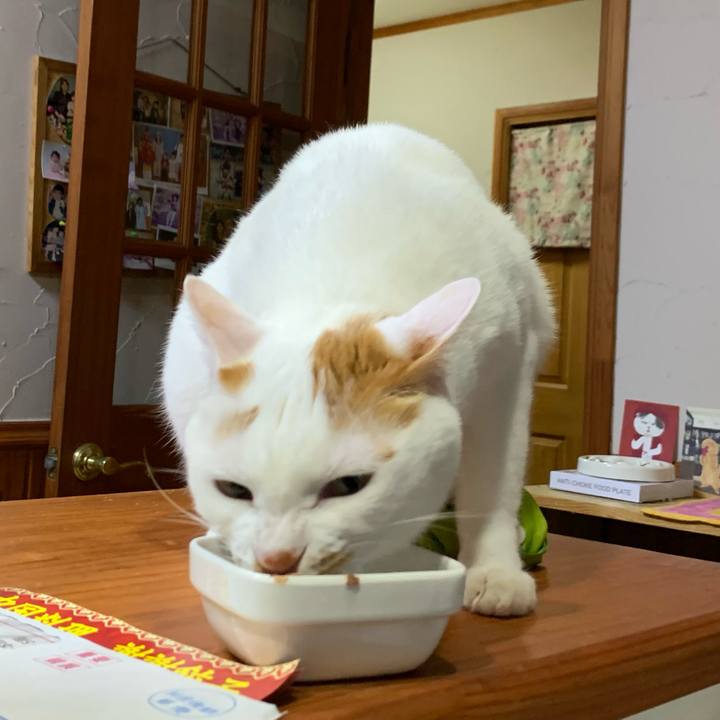 268d441e 13d6 423d 8fd6 250253702417 1629722575860