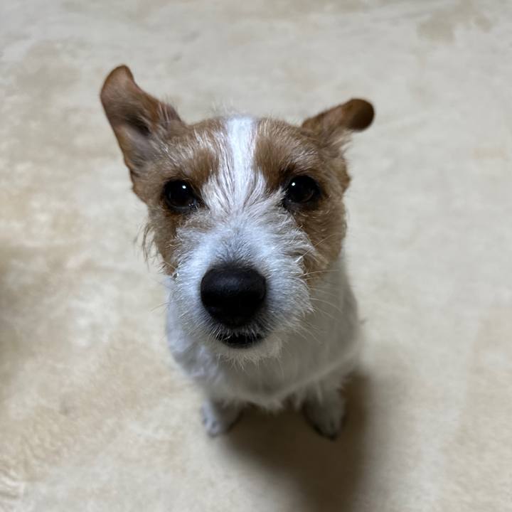 268d6952 bfbe 4957 92f3 410a11f08dab 1772658258210