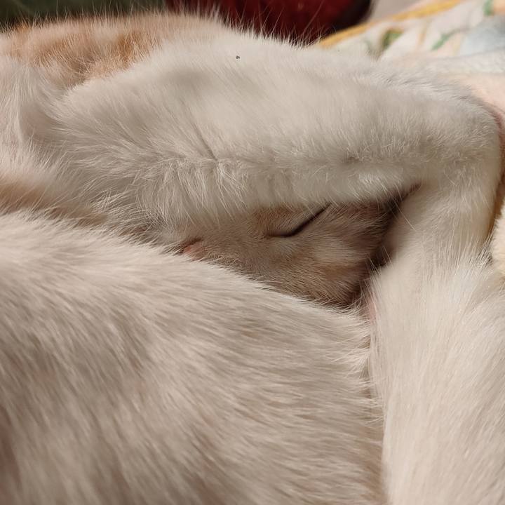 268db20c 9a69 47f0 a04f 0b7476b6f15a 1673171676173